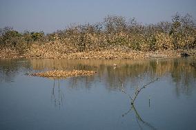 CHINA-ZHEJIANG-HANGZHOU-WORLD WETLANDS DAY (CN)