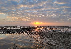 CHINA-FUJIAN-WETLANDS-SCENERY (CN)