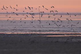 CHINA-FUJIAN-WETLANDS-SCENERY (CN)