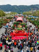 (SP)GUANGDONG-FOSHAN-GUANGDONG LION DANCE(CN)