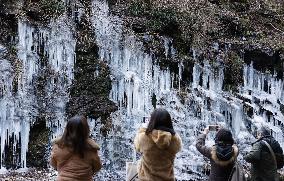 Icicles in eastern Japan