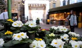 BRITAIN-LONDON-DAILY LIFE-BOROUGH MARKET