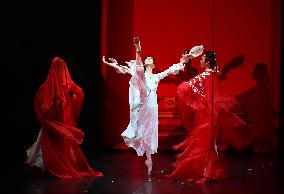 CHINA-BEIJING-BALLET-A DREAM OF RED MANSIONS (CN)