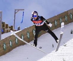 Ski jumping: World Cup in Lake Placid