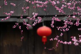 #CHINA-SPRING-BLOSSOMS-SCENERY (CN)