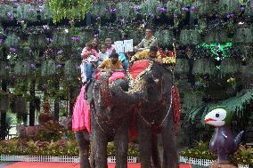 THAILAND-PATTAYA-WEDDING-ELEPHANTS-VALENTINE'S DAY