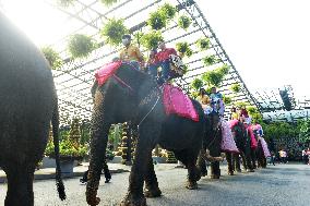 THAILAND-PATTAYA-WEDDING-ELEPHANTS-VALENTINE'S DAY