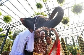 THAILAND-PATTAYA-WEDDING-ELEPHANTS-VALENTINE'S DAY