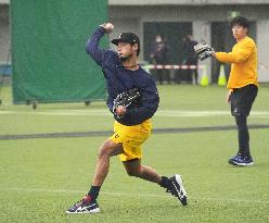 Baseball: WBC training camp in Japan