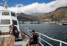 SOUTH AFRICA-CAPE TOWN-DUIKER-SEAL-WATCHING