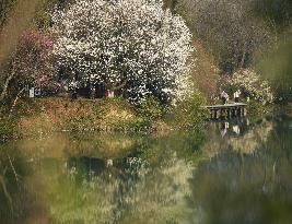 CHINA-HANGZHOU-XIXI WETLAND PARK (CN)