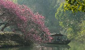 CHINA-HANGZHOU-XIXI WETLAND PARK (CN)