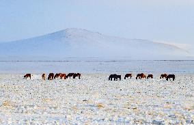 #CHINA-INNER MONGOLIA-HOLIN GOL-SCENERY (CN)