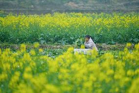 #CHINA-SPRING FARMING (CN)