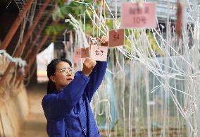 CHINA-HEBEI-VEGETABLES COOPERATIVE-ENTREPRENEURSHIP (CN)