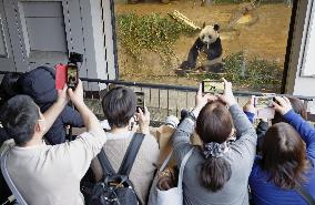 Farewell to giant panda Xiang Xiang at Tokyo zoo