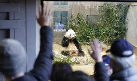 Farewell to giant panda Xiang Xiang at Tokyo zoo