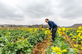 #CHINA-SPRING-FARMING (CN)