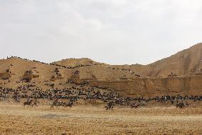 AFGHANISTAN-BAMYAN-BUZKASHI