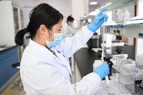 CHINA-GANSU-DAIRY INDUSTRY (CN)