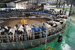 CHINA-GANSU-DAIRY INDUSTRY (CN)