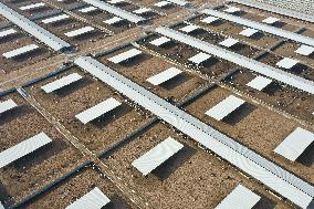 CHINA-GANSU-DAIRY INDUSTRY (CN)