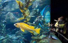 CANADA-TORONTO-FAMILY DAY-AQUARIUM