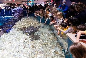 CANADA-TORONTO-FAMILY DAY-AQUARIUM