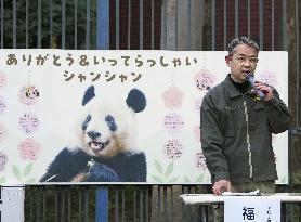 Giant panda Xiang Xiang