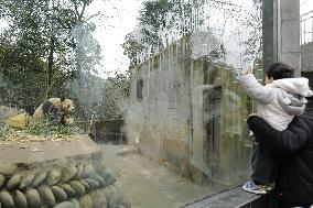 Panda center in China