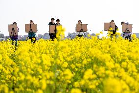 #CHINA-JIANGXI-YICHUN-COLE FLOWERS (CN)