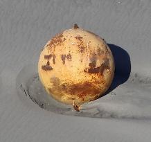 Unidentified metal sphere on Japan beach