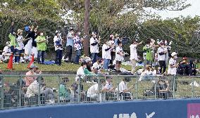Cheering returns to Japanese baseball