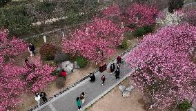 #CHINA-SPRING-TOURISM (CN)