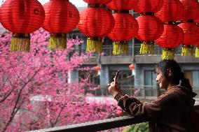 #CHINA-SPRING-TOURISM (CN)