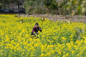 #CHINA-SPRING-TOURISM (CN)