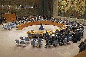 U.N. Security Council meeting on Ukraine