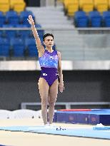 (SP)QATAR-DOHA-FIG-GYMNASTICS-WORLD CUP