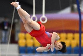 (SP)QATAR-DOHA-FIG-GYMNASTICS-WORLD CUP