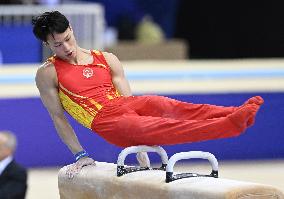 (SP)QATAR-DOHA-FIG-GYMNASTICS-WORLD CUP