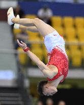 (SP)QATAR-DOHA-FIG-GYMNASTICS-WORLD CUP