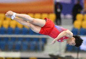 (SP)QATAR-DOHA-FIG-GYMNASTICS-WORLD CUP