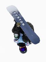 Snowboarding: World championships