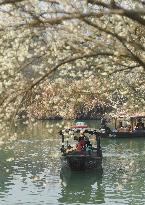 (ZhejiangPictorial)CHINA-ZHEJIANG-SPRING-SCENERY (CN)