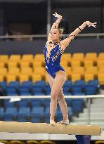 (SP)QATAR-DOHA-FIG-GYMNASTICS-WORLD CUP