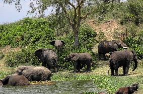 UGANDA-KASESE-QUEEN ELIZABETH NATIONAL PARK