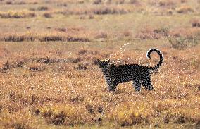 UGANDA-KASESE-QUEEN ELIZABETH NATIONAL PARK