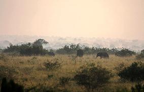 UGANDA-KASESE-QUEEN ELIZABETH NATIONAL PARK