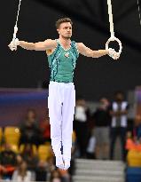 (SP)QATAR-DOHA-FIG-GYMNASTICS-WORLD CUP-MEN'S RINGS