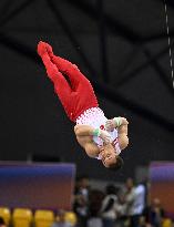 (SP)QATAR-DOHA-FIG-GYMNASTICS-WORLD CUP-MEN'S RINGS